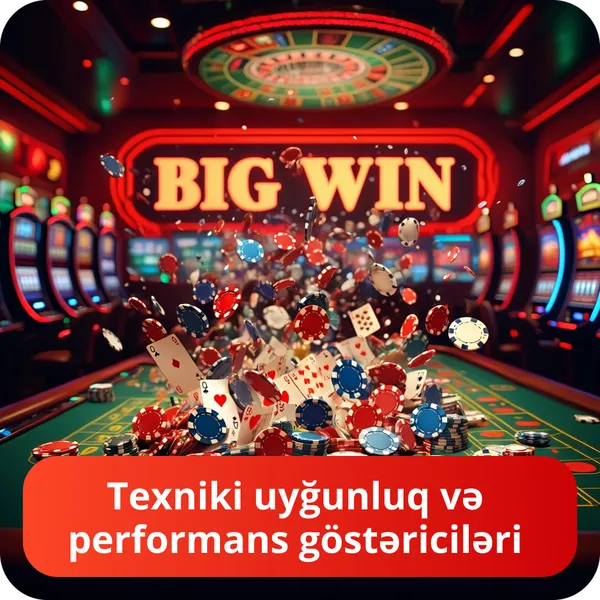 Texniki uyğunluq və performans göstəriciləri